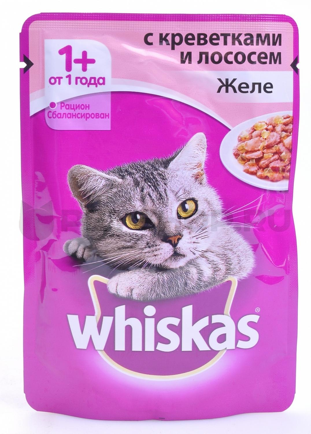 WHISKAS® (Вискас) влажный корм для кошек от 1 года желе с креветками и  лососем 85 г пауч – купить в интернет зоомагазине РыжийКот56.рф